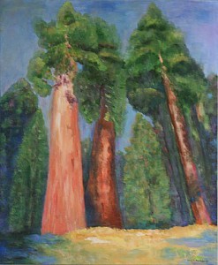 California Redwoods-Donna M.